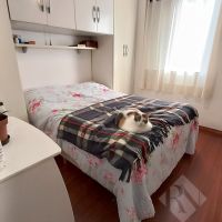 Venda de Apartamento em Pirituba Portal dos Bandeirantes Jardim Íris São Paulo em São Paulo-SP
