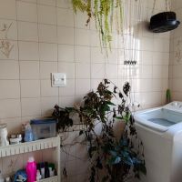 Apartamento para alugar em São Paulo em Pirituba Portal dos Bandeirantes Jardim Íris São Paulo