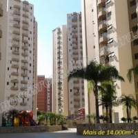 Apartamento Tipo A Venda Em São Paulo no Portal dos Bandeirantes - Jd. Iris
